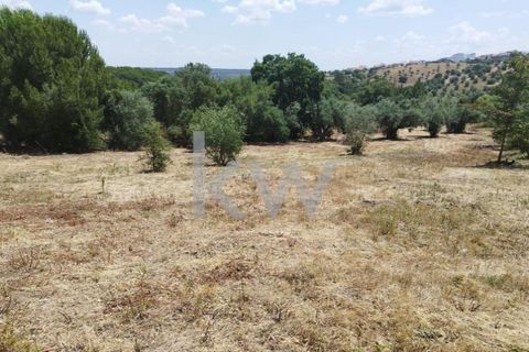 Tomt i Montargil, Portalegre, Montargil - € 140 000 | Ref: KWPT-002808 - foto 5