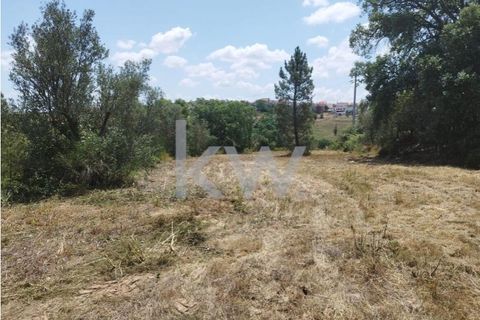 Tomt i Montargil, Portalegre, Montargil - € 140 000 | Ref: KWPT-002808 - foto 6