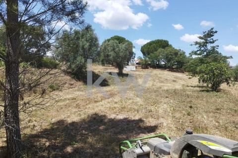 Tomt i Montargil, Portalegre, Montargil - € 140 000 | Ref: KWPT-002808 - foto 7