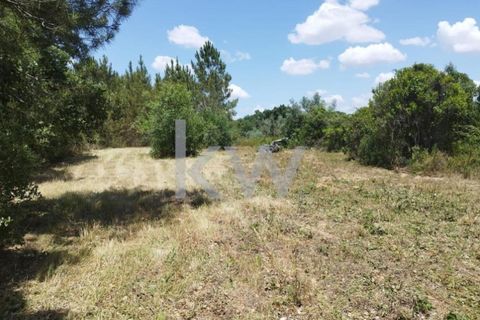Tomt i Montargil, Portalegre, Montargil - € 140 000 | Ref: KWPT-002808 - foto 8