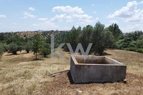 Tomt i Montargil, Portalegre, Montargil - € 140 000 | Ref: KWPT-002808 - foto 9