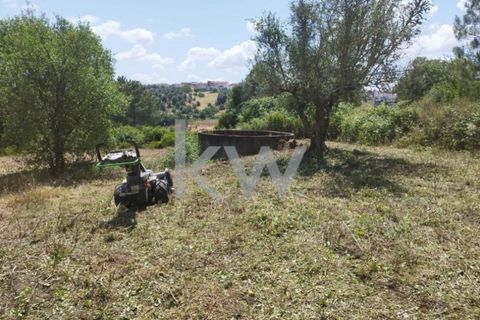 Tomt i Montargil, Portalegre, Montargil - € 140 000 | Ref: KWPT-002808 - foto 10