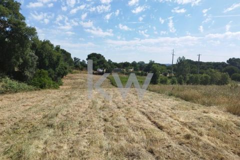 Tomt i Montargil, Portalegre, Montargil - € 140 000 | Ref: KWPT-002808 - foto 12