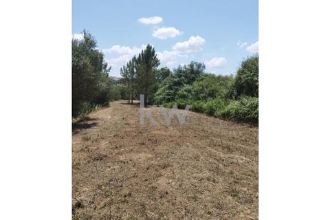 Tomt i Montargil, Portalegre, Montargil - € 140 000 | Ref: KWPT-002808 - foto 14