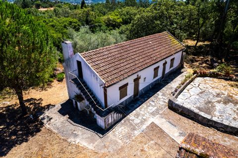 Villa i Alcobaca, Leiria, Alcobaca - € 300.000 | Ref: C0409-01974 - foto 8