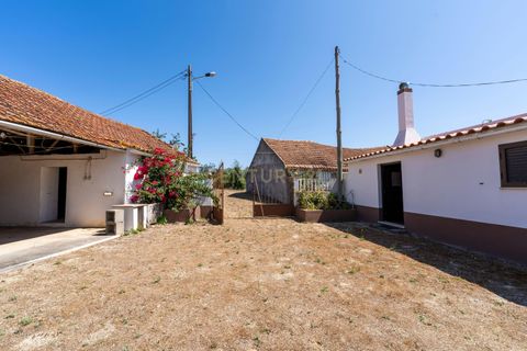 Villa i Alcobaca, Leiria, Alcobaca - € 300.000 | Ref: C0409-01974 - foto 17