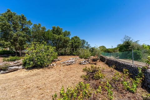 Villa i Alcobaca, Leiria, Alcobaca - € 300.000 | Ref: C0409-01974 - foto 37
