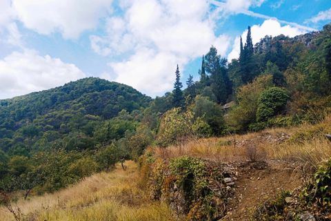 Villa a Peille, Alpes-Maritimes, Peille - € 195.000 | Ref: 86337769 - foto 8