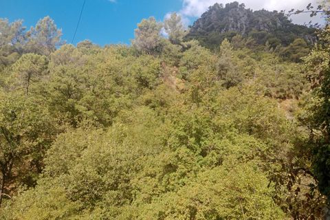 Villa a Peille, Alpes-Maritimes, Peille - € 195.000 | Ref: 86337769 - foto 13