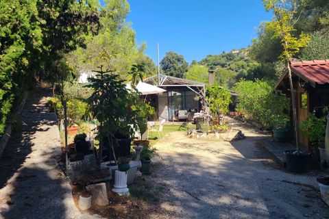 Helårsgrund i Nice, Alpes-Maritimes, Nice - € 350.000 | Ref: 86800055 - foto 7