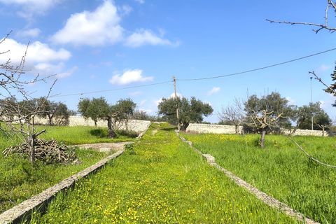 Villa i Monopoli, Bari, Monopoli - € 130.000 | Ref: 37271001-1796 - foto 5