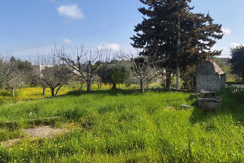 Villa i Monopoli, Bari, Monopoli - € 130.000 | Ref: 37271001-1796 - foto 15