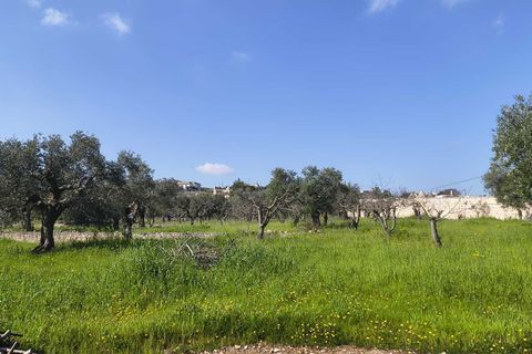 Villa i Monopoli, Bari, Monopoli - € 130.000 | Ref: 37271001-1796 - foto 17