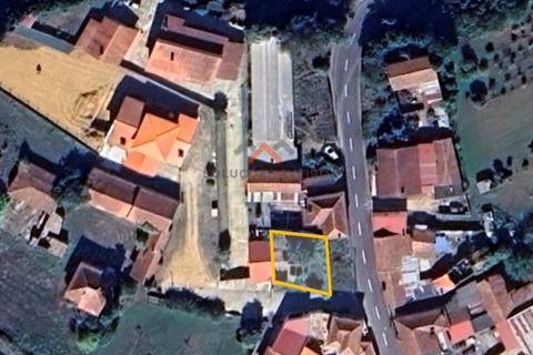 Villa i Anadia, Aveiro, Anadia - € 42.000 | Ref: 6803 - foto 6