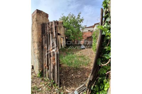 Villa i Anadia, Aveiro, Anadia - € 42.000 | Ref: 6803 - foto 9