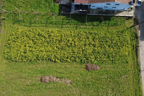 Helårsgrund i Valongo, Porto, Valongo - € 97.500 | Ref: 11208 - foto 2