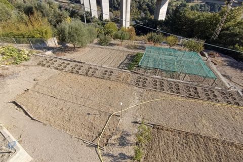 Villa i Sanremo, Imperia, Sanremo - € 650.000 | Ref: v 373 a - foto 29