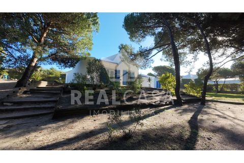 Villa i Obidos, Leiria, Obidos - € 860.000 | Ref: HAB_137 - foto 39