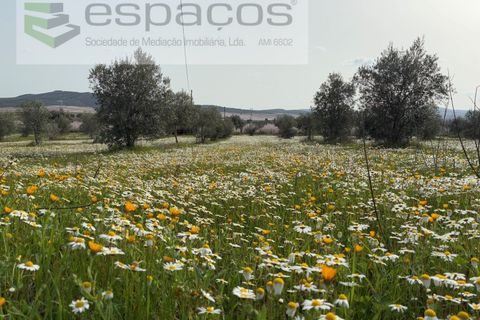 Terra a Fundao, Castelo Branco, Fundao - € 46.000 | Ref: 5508/CP-AF - foto 2