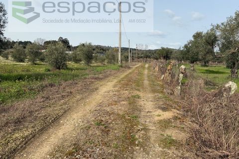 Terra a Fundao, Castelo Branco, Fundao - € 46.000 | Ref: 5508/CP-AF - foto 3