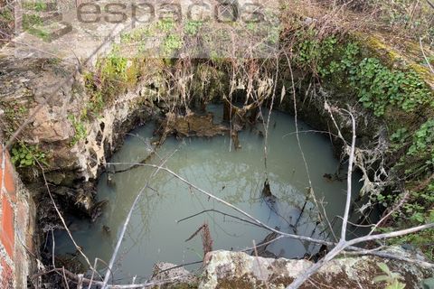 Terra a Fundao, Castelo Branco, Fundao - € 46.000 | Ref: 5508/CP-AF - foto 6