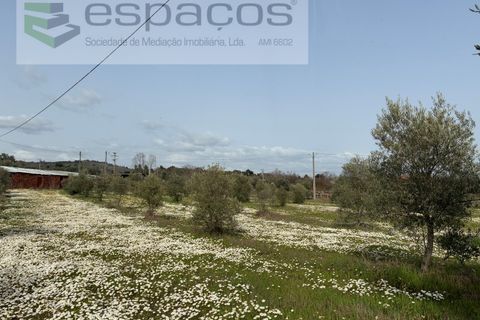 Terra a Fundao, Castelo Branco, Fundao - € 46.000 | Ref: 5508/CP-AF - foto 9