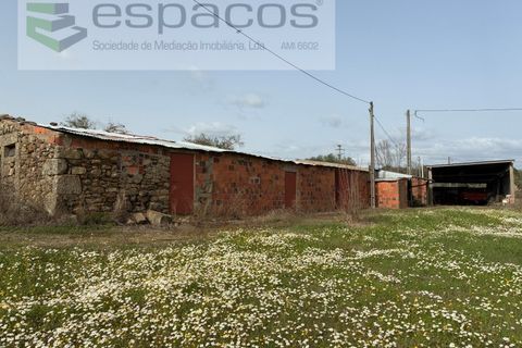 Terra a Fundao, Castelo Branco, Fundao - € 46.000 | Ref: 5508/CP-AF - foto 12