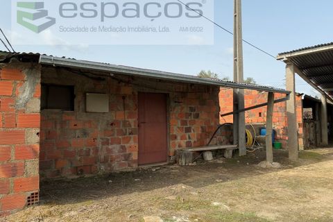 Terra a Fundao, Castelo Branco, Fundao - € 46.000 | Ref: 5508/CP-AF - foto 14