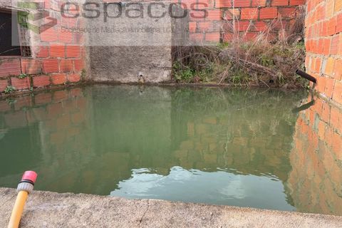 Terra a Fundao, Castelo Branco, Fundao - € 46.000 | Ref: 5508/CP-AF - foto 16