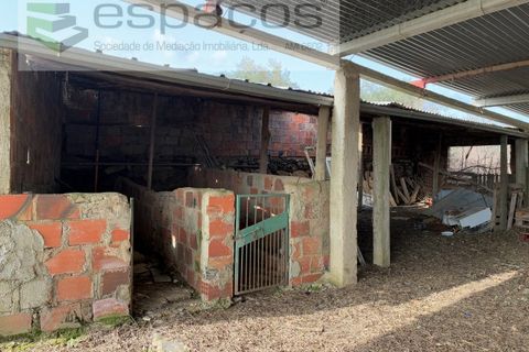 Terra a Fundao, Castelo Branco, Fundao - € 46.000 | Ref: 5508/CP-AF - foto 17