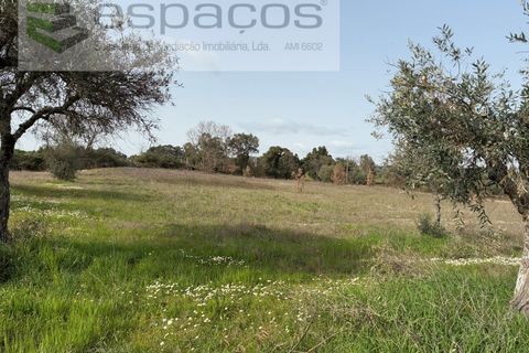 Terra a Fundao, Castelo Branco, Fundao - € 46.000 | Ref: 5508/CP-AF - foto 25