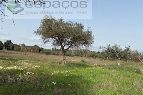 Terra a Fundao, Castelo Branco, Fundao - € 46.000 | Ref: 5508/CP-AF - foto 26