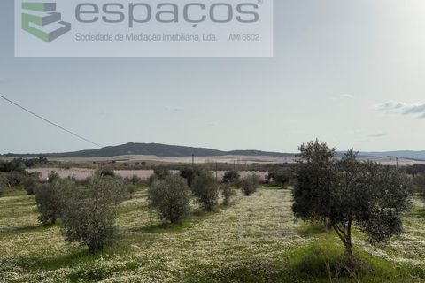 Terra a Fundao, Castelo Branco, Fundao - € 46.000 | Ref: 5508/CP-AF - foto 30