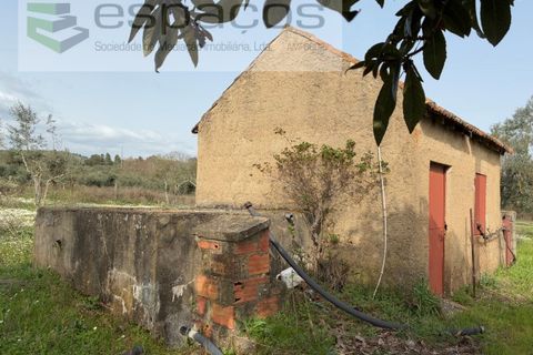 Terra a Fundao, Castelo Branco, Fundao - € 46.000 | Ref: 5508/CP-AF - foto 31