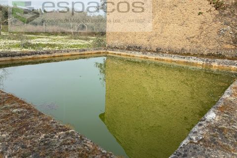 Terra a Fundao, Castelo Branco, Fundao - € 46.000 | Ref: 5508/CP-AF - foto 32