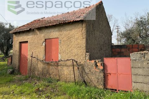 Terra a Fundao, Castelo Branco, Fundao - € 46.000 | Ref: 5508/CP-AF - foto 33