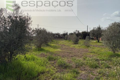 Terra a Fundao, Castelo Branco, Fundao - € 46.000 | Ref: 5508/CP-AF - foto 39
