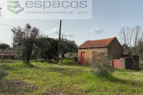Terra a Fundao, Castelo Branco, Fundao - € 46.000 | Ref: 5508/CP-AF - foto 43