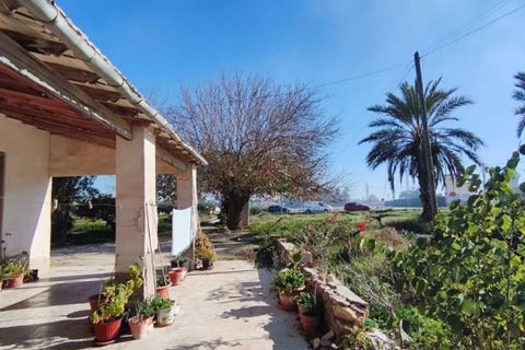 Landejendom i Algoda, Alicante, Algoda - € 215.000 | Ref: EXP13611/8930 - foto 10