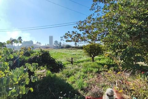 Landejendom i Algoda, Alicante, Algoda - € 215.000 | Ref: EXP13611/8930 - foto 19