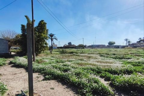 Landejendom i Algoda, Alicante, Algoda - € 215.000 | Ref: EXP13611/8930 - foto 20