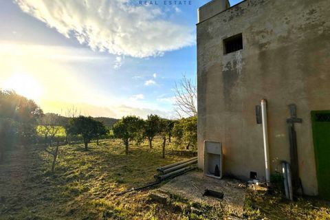 Landejendom i Noto, Siracusa, Noto - € 210.000 | Ref: 1264 - foto 2