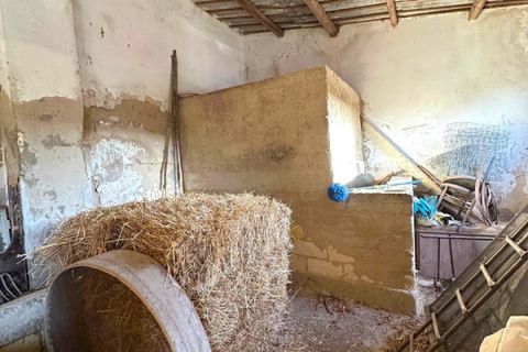 Landejendom i Noto, Siracusa, Noto - € 210.000 | Ref: 1264 - foto 13