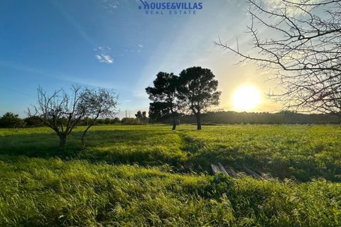 Landejendom i Noto, Siracusa, Noto - € 210.000 | Ref: 1264 - foto 17