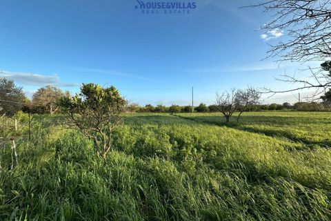 Landejendom i Noto, Siracusa, Noto - € 210.000 | Ref: 1264 - foto 18