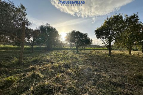 Landejendom i Noto, Siracusa, Noto - € 210.000 | Ref: 1264 - foto 19