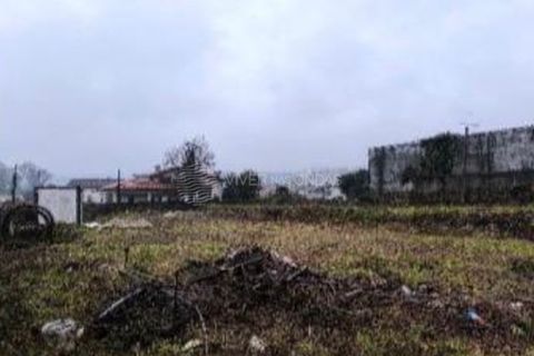 Terra a Vila Verde, Braga, Vila Verde - € 320.000 | Ref: MF-RPEM - foto 3