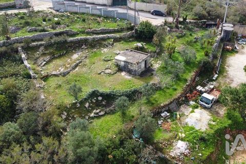 Byhus i Batalha, Leiria, Batalha - € 48.500 | Ref: 845149 - foto 4
