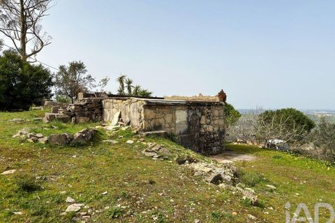Byhus i Batalha, Leiria, Batalha - € 48.500 | Ref: 845149 - foto 9