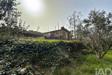 Byhus i Batalha, Leiria, Batalha - € 48.500 | Ref: 845149 - foto 19